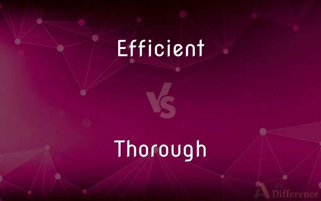 Efficient vs. Thorough — What's the Difference?