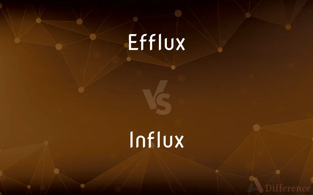 Efflux vs. Influx — What's the Difference?