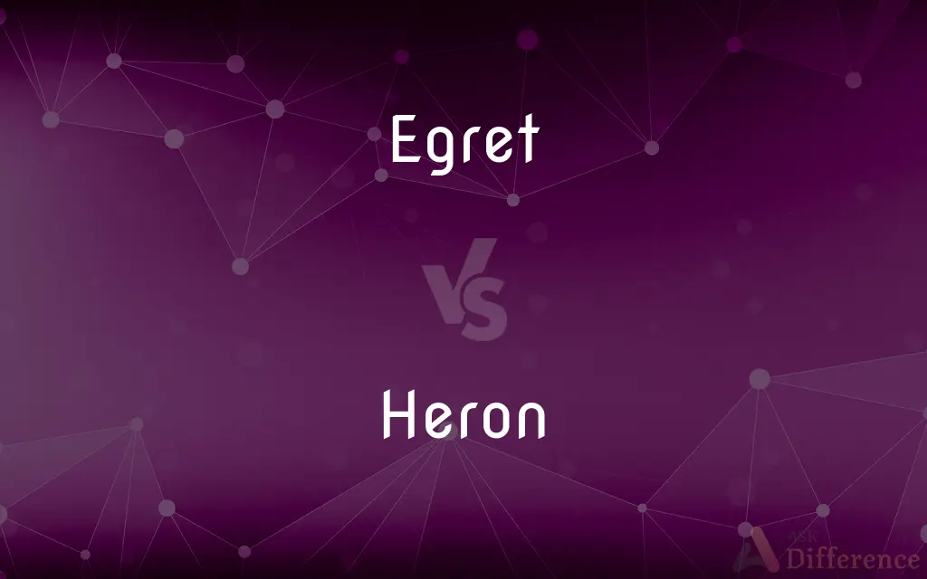 Egret vs. Heron — What's the Difference?