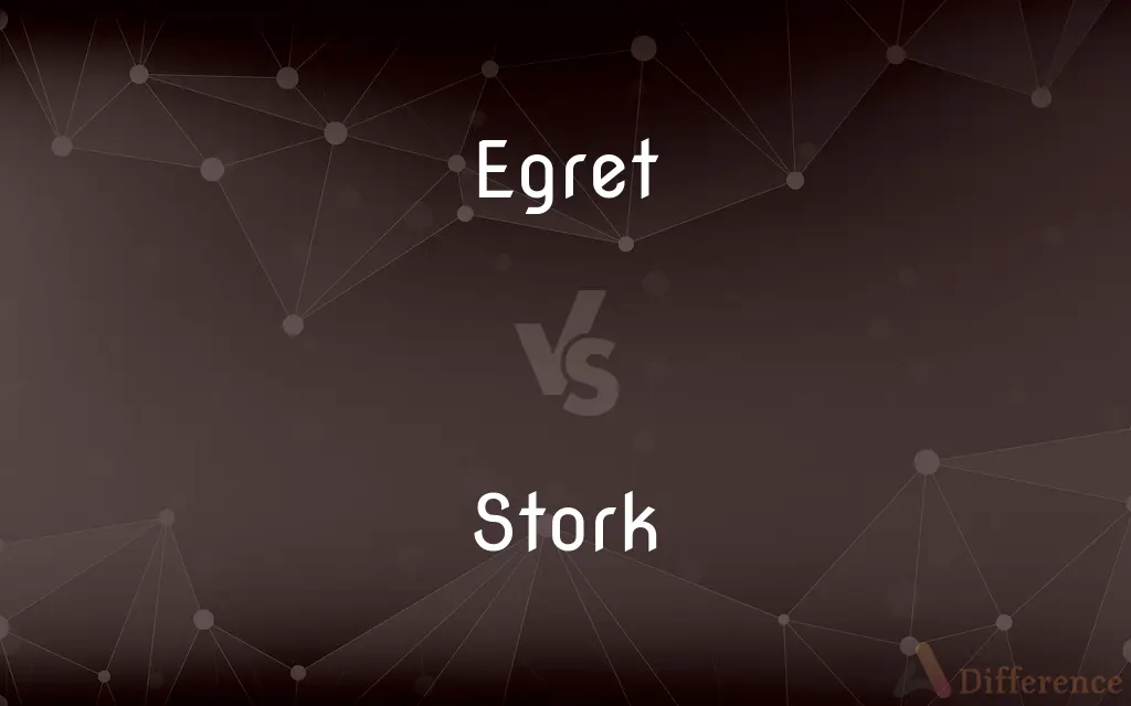 Egret vs. Stork — What's the Difference?