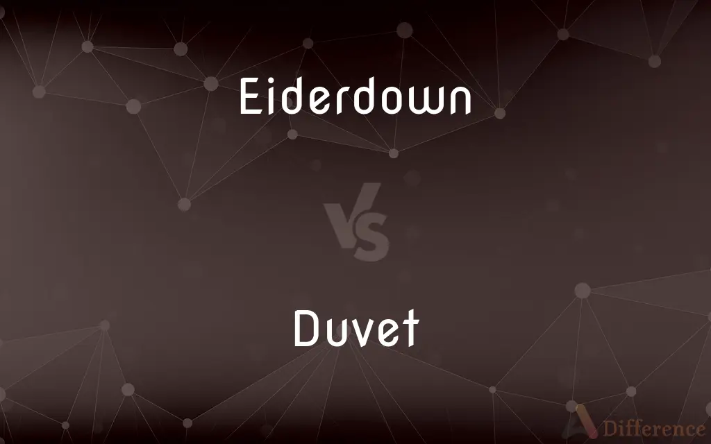 Eiderdown vs. Duvet — What's the Difference?