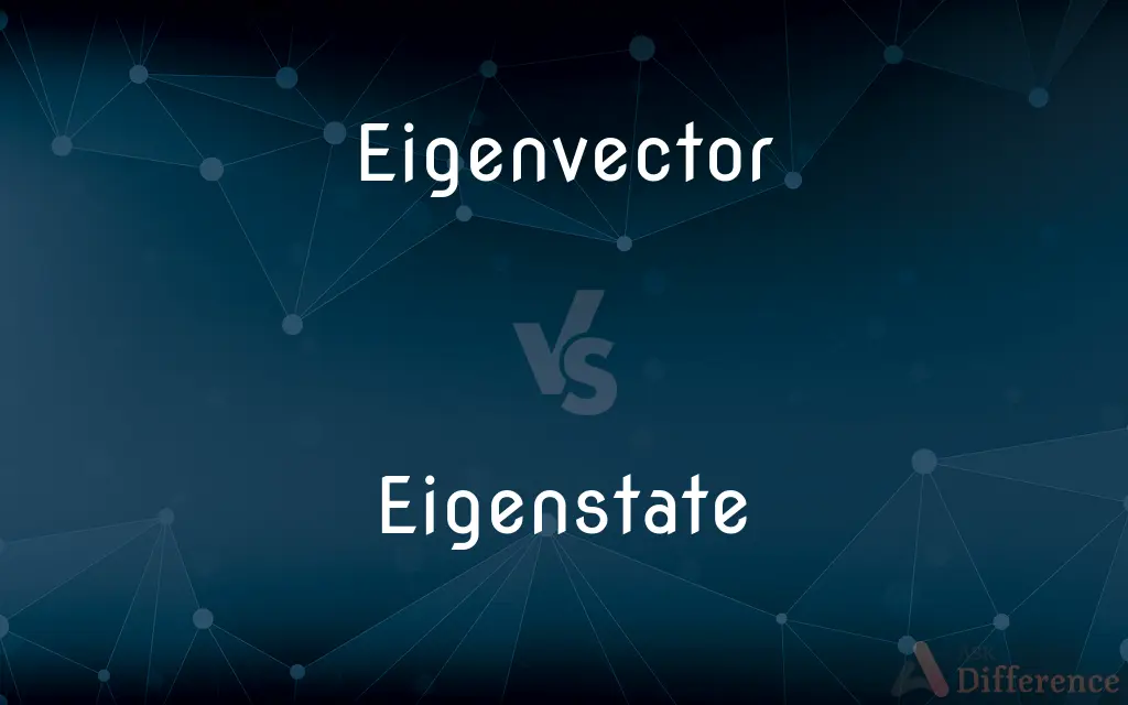 Eigenvector vs. Eigenstate — What's the Difference?