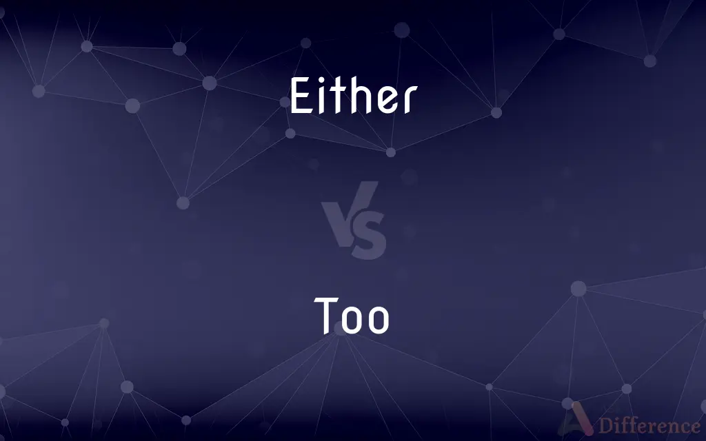 Either vs. Too — What's the Difference?