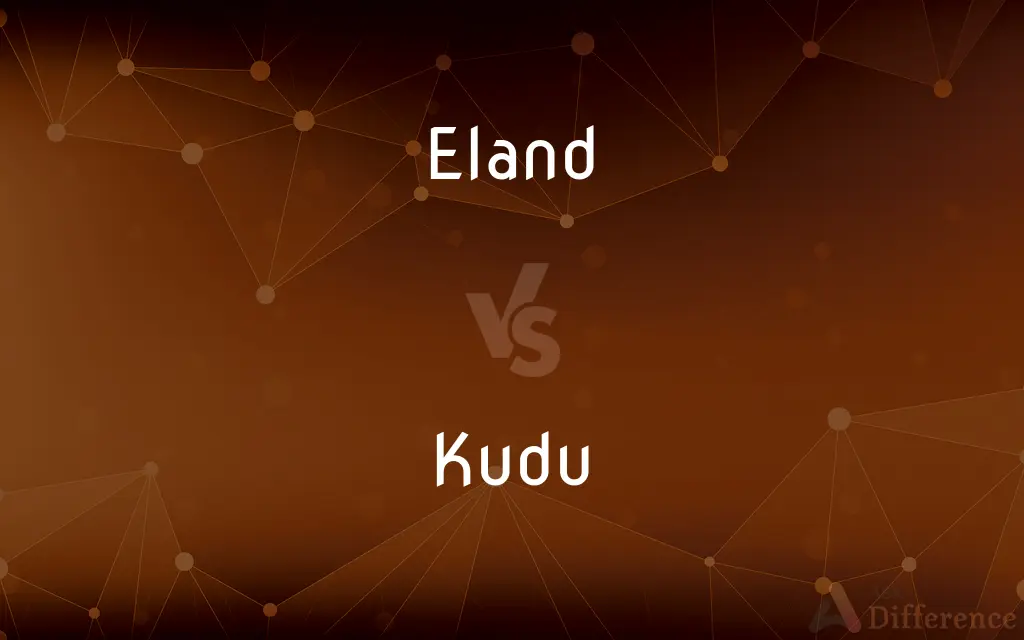 Eland vs. Kudu — What's the Difference?