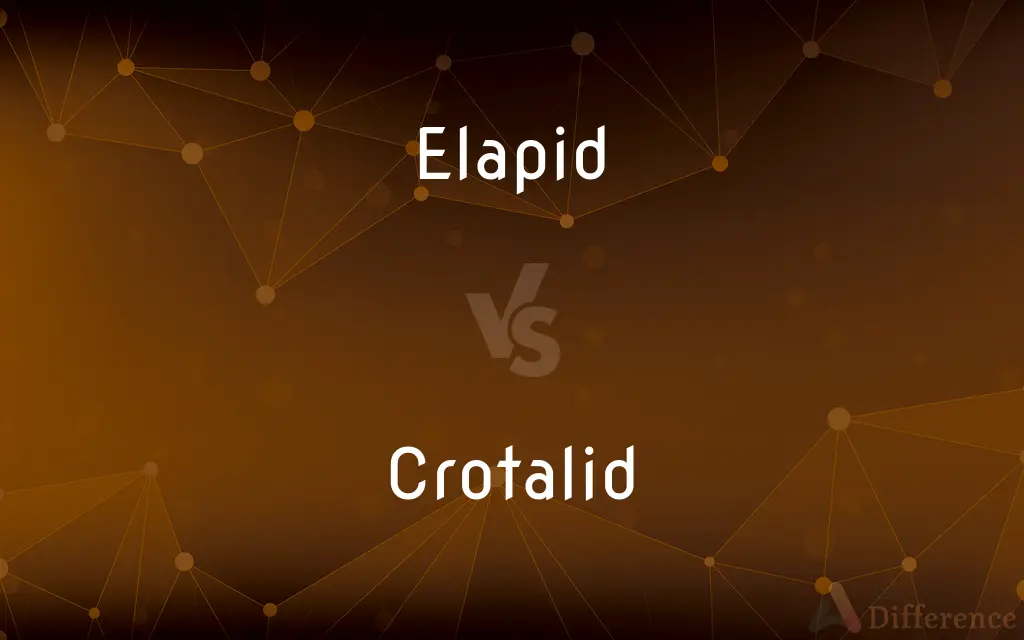 Elapid vs. Crotalid — What's the Difference?