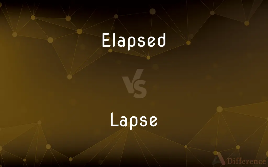 Elapsed vs. Lapse — What's the Difference?