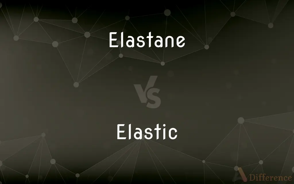 Elastane vs. Elastic — What's the Difference?