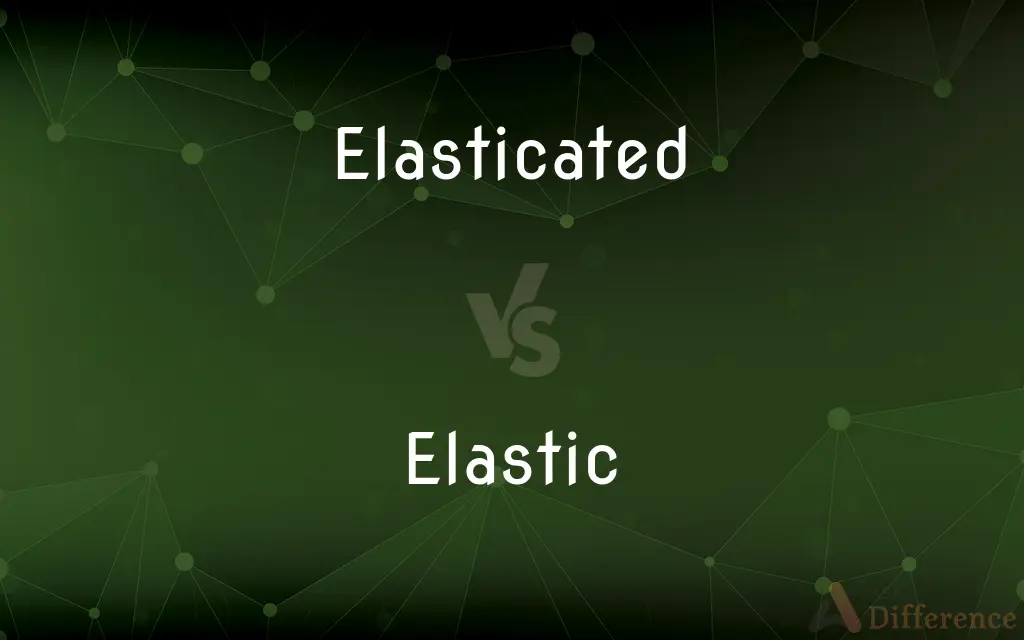 Elasticated vs. Elastic — What's the Difference?