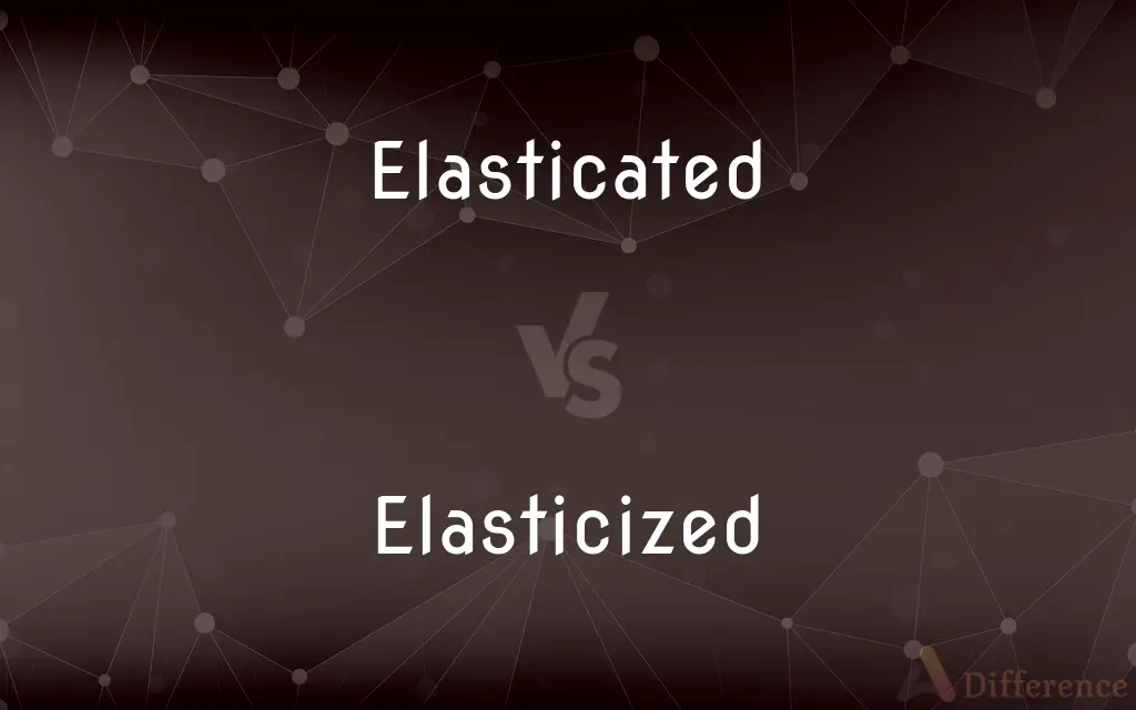 Elasticated vs. Elasticized — What's the Difference?