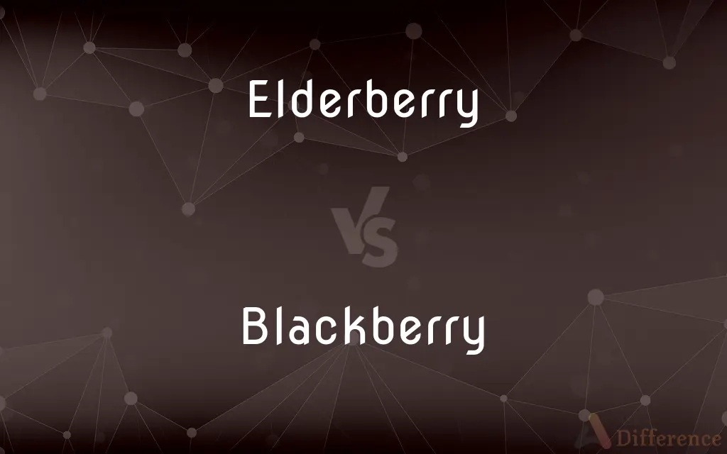 Elderberry vs. Blackberry — What's the Difference?