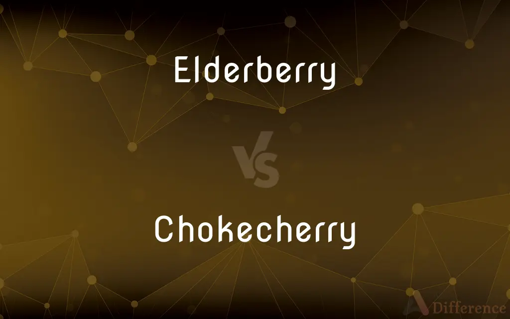 Elderberry vs. Chokecherry — What's the Difference?