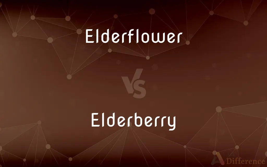 Elderflower vs. Elderberry — What's the Difference?