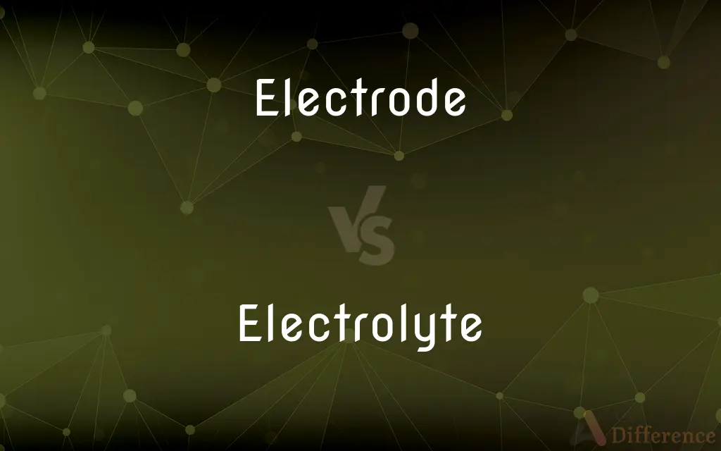 Electrode vs. Electrolyte — What's the Difference?