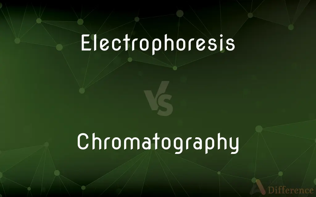Electrophoresis vs. Chromatography — What's the Difference?