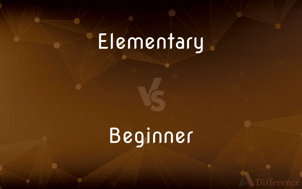 Elementary vs. Beginner — What's the Difference?