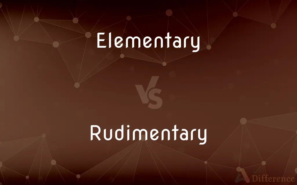 Elementary vs. Rudimentary — What's the Difference?