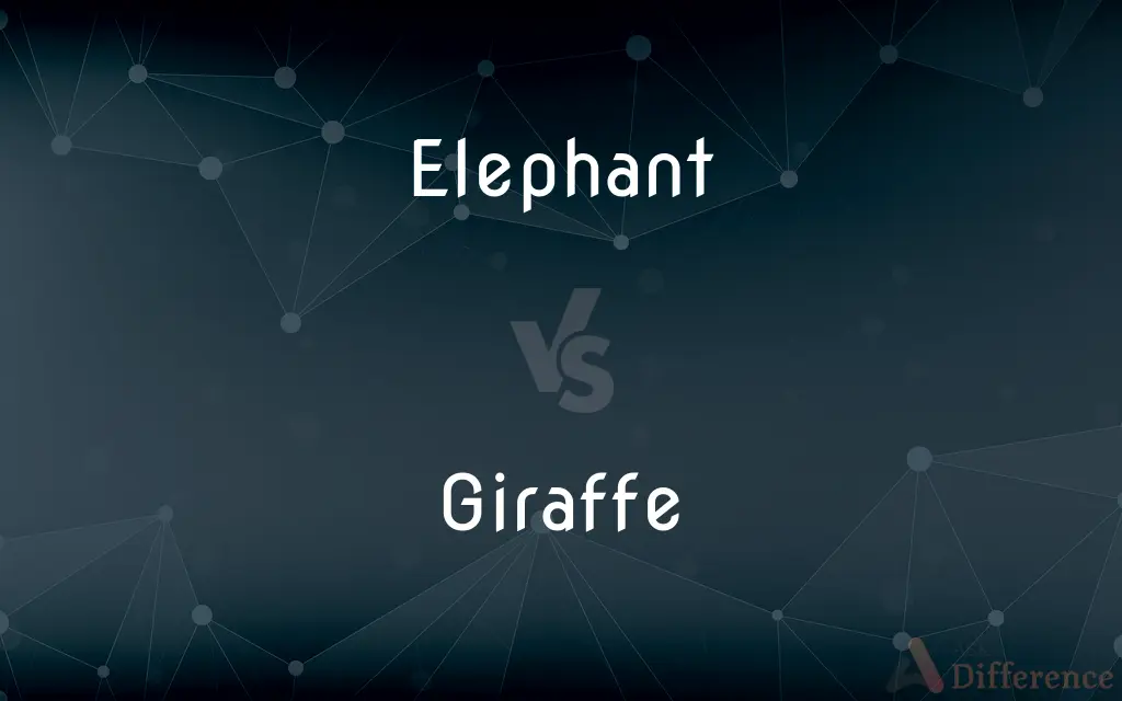 Elephant vs. Giraffe — What's the Difference?