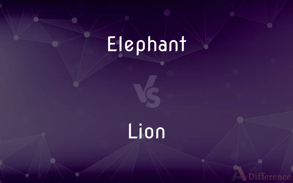 Elephant vs. Lion — What's the Difference?