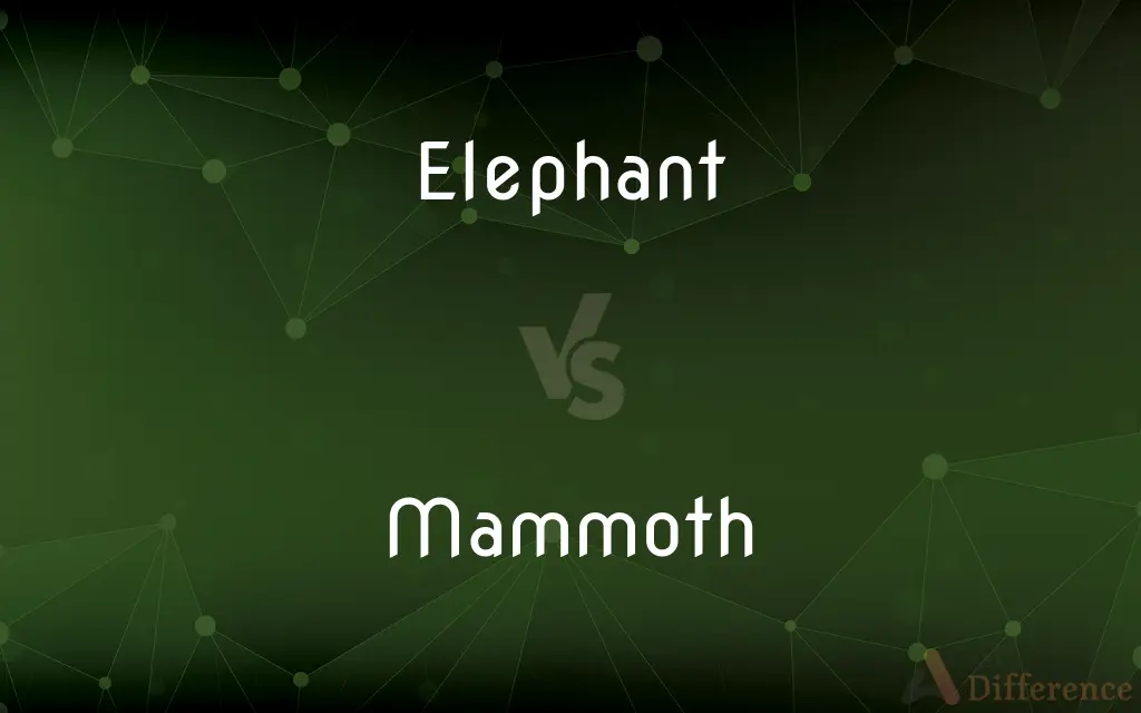 Elephant vs. Mammoth — What's the Difference?