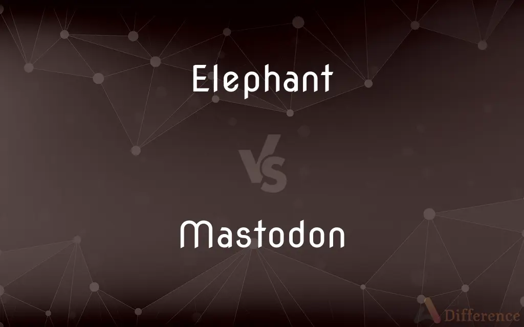 Elephant vs. Mastodon — What's the Difference?