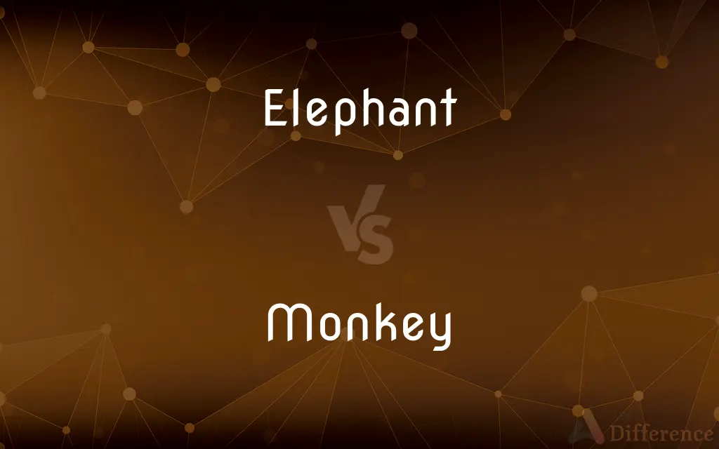 Elephant vs. Monkey — What's the Difference?