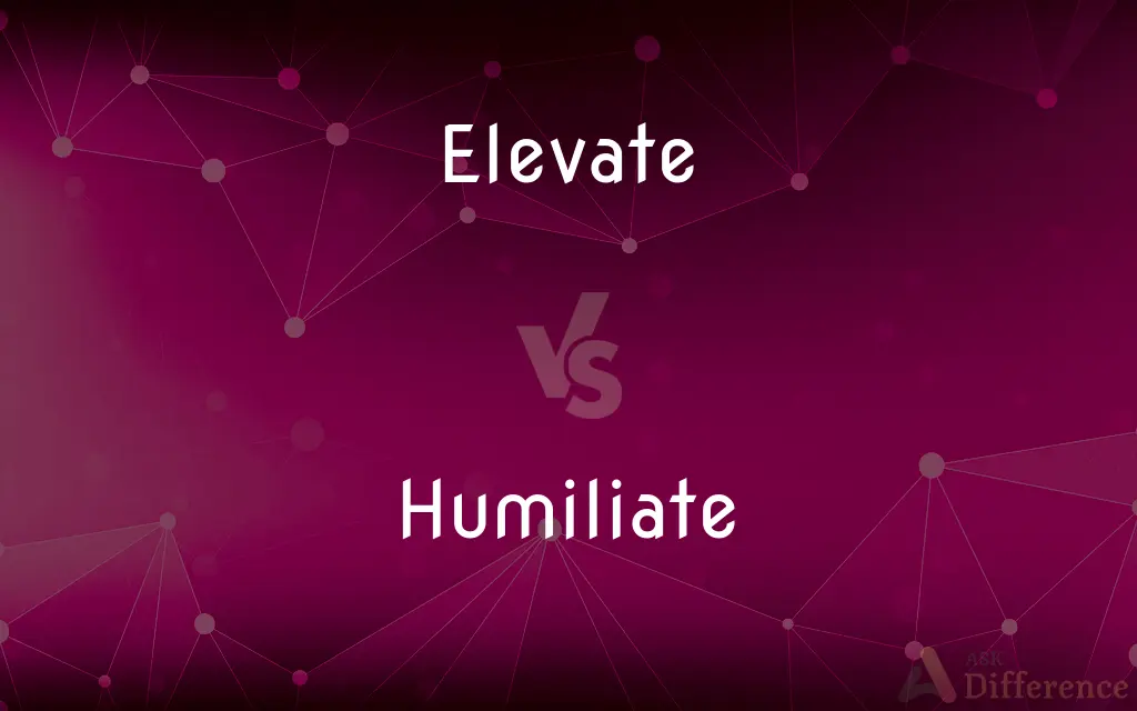 Elevate vs. Humiliate — What's the Difference?