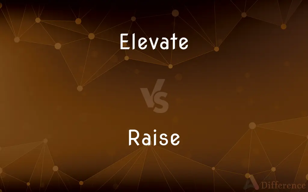 Elevate vs. Raise — What's the Difference?