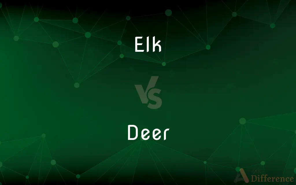 Elk vs. Deer — What's the Difference?