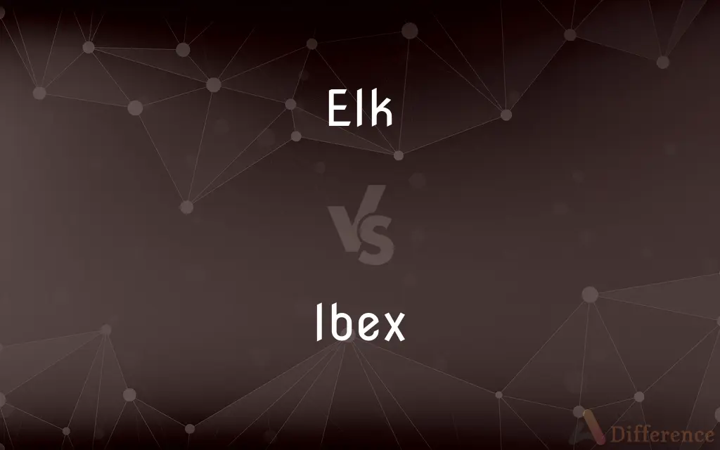 Elk vs. Ibex — What's the Difference?