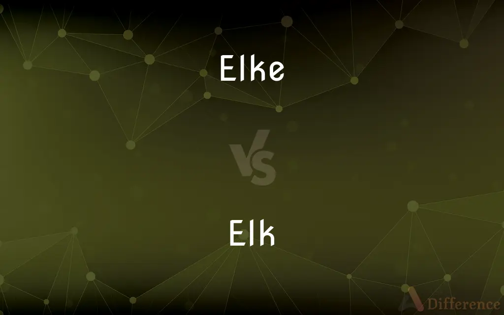 Elke vs. Elk — What's the Difference?