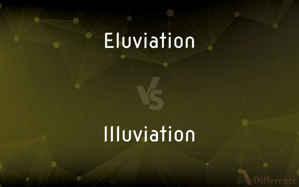 Eluviation vs. Illuviation — What's the Difference?