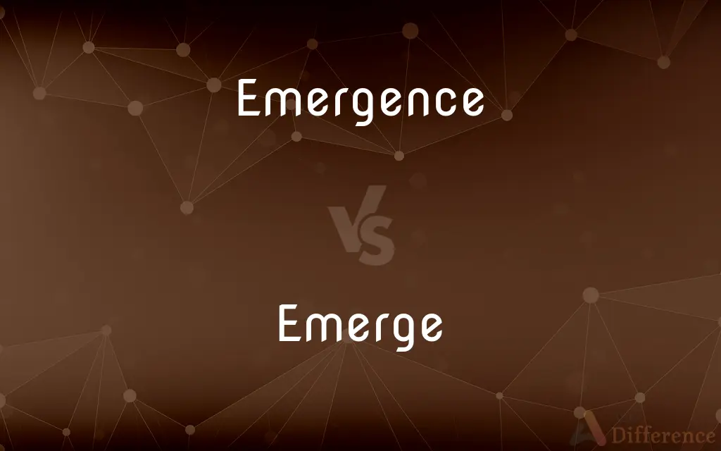 Emergence vs. Emerge — What's the Difference?