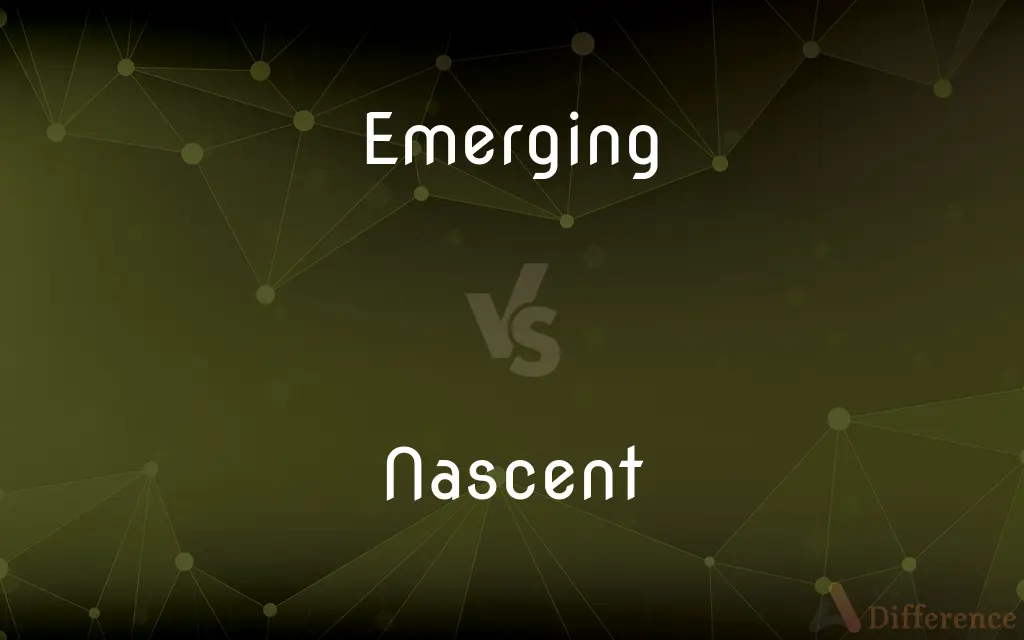 Emerging vs. Nascent — What's the Difference?