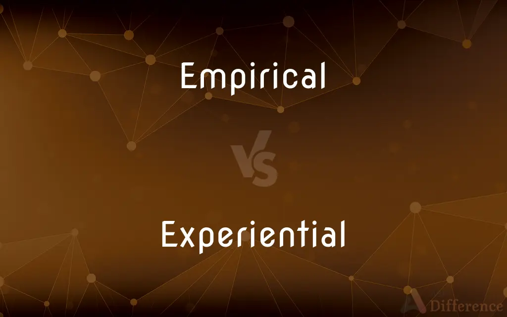 Empirical vs. Experiential — What's the Difference?