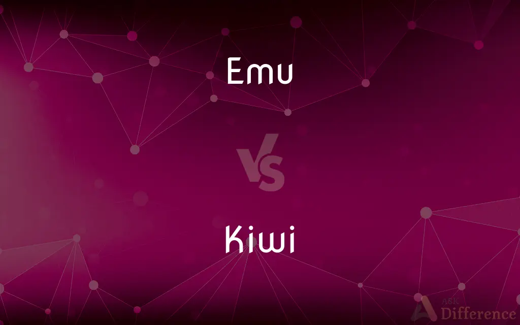 Emu vs. Kiwi — What's the Difference?