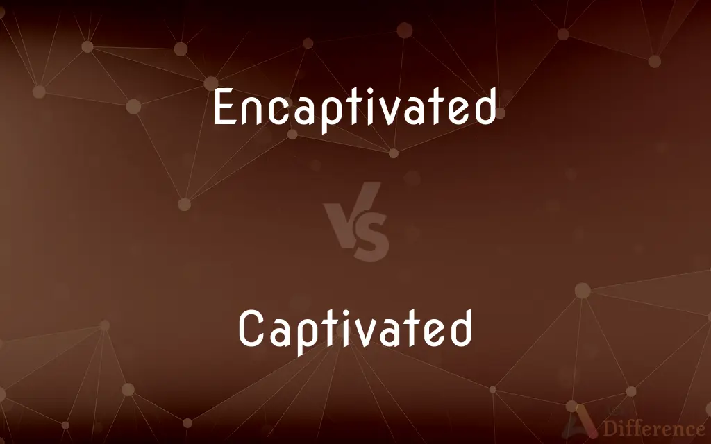 Encaptivated vs. Captivated — What's the Difference?