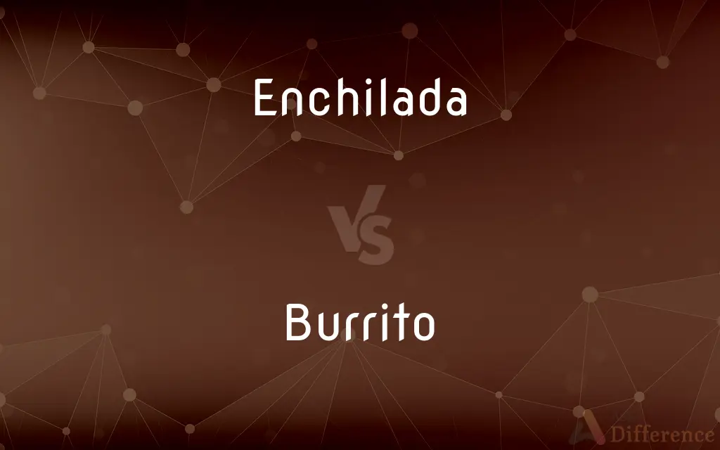 Enchilada vs. Burrito — What's the Difference?
