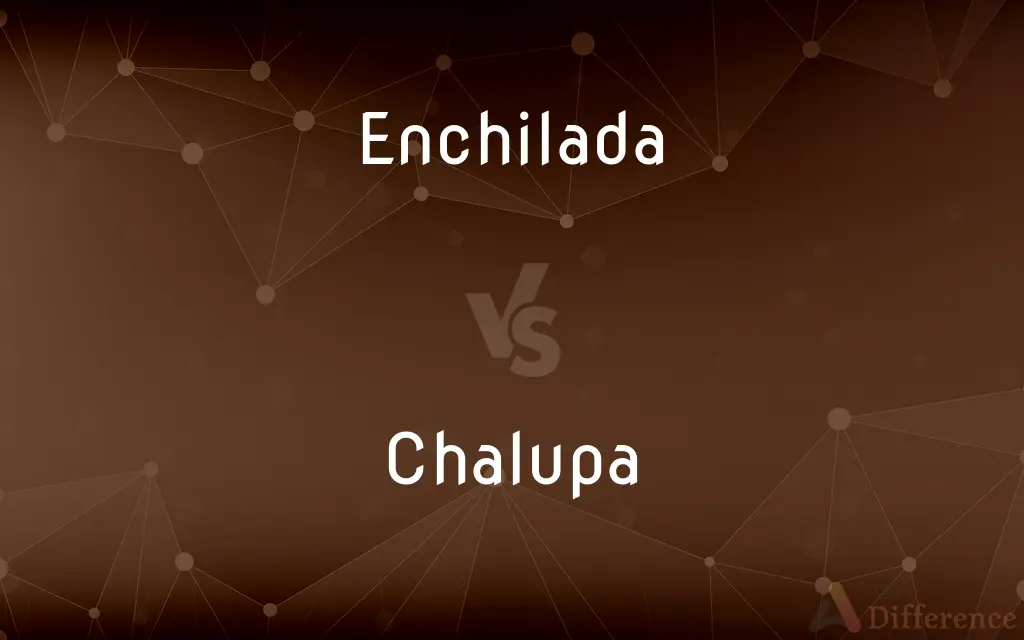 Enchilada vs. Chalupa — What's the Difference?
