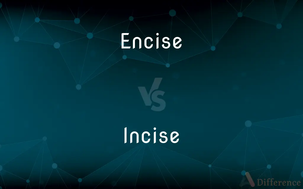 Encise vs. Incise — What's the Difference?