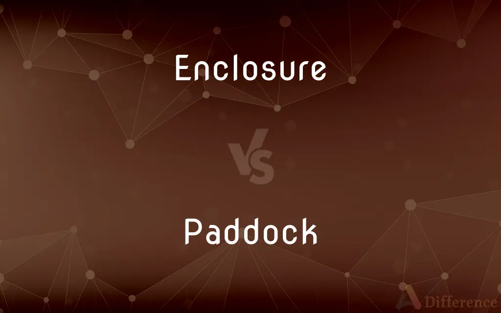 Enclosure vs. Paddock — What's the Difference?