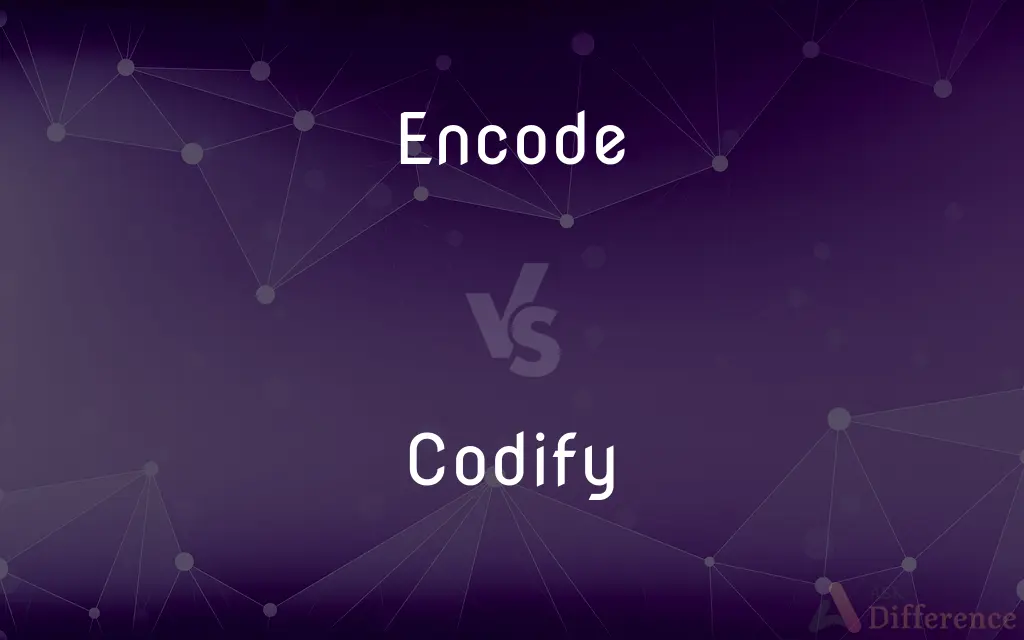 Encode vs. Codify — What's the Difference?