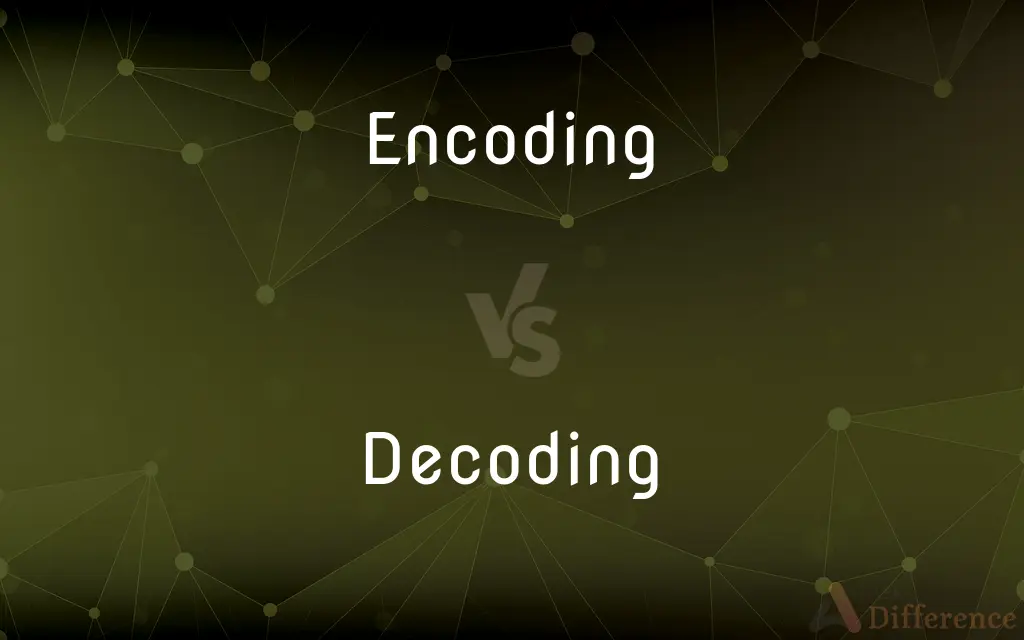 Encoding vs. Decoding — What's the Difference?