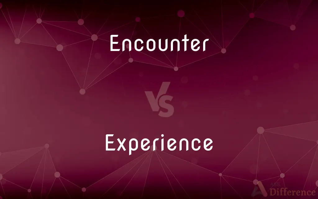 Encounter vs. Experience — What's the Difference?