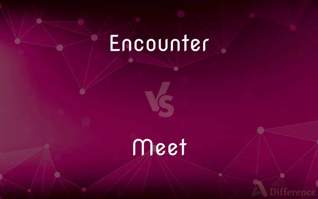 Encounter vs. Meet — What's the Difference?