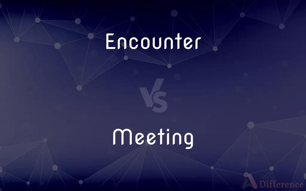 Encounter vs. Meeting — What's the Difference?