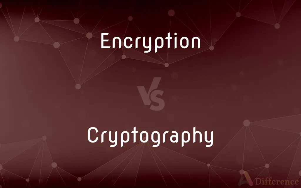 Encryption vs. Cryptography — What's the Difference?