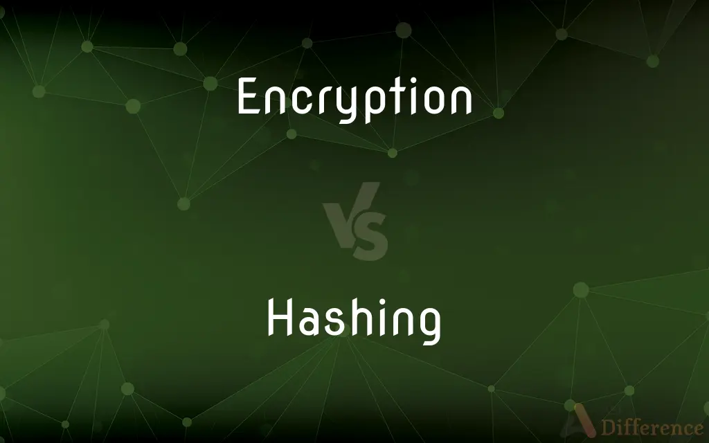 Encryption vs. Hashing — What's the Difference?