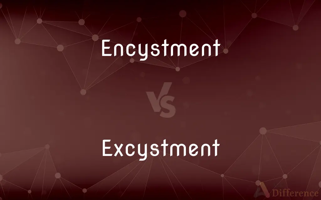 Encystment vs. Excystment — What's the Difference?
