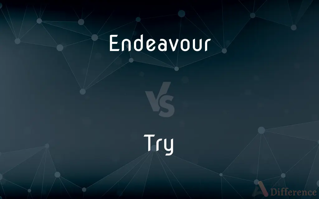 Endeavour vs. Try — What's the Difference?