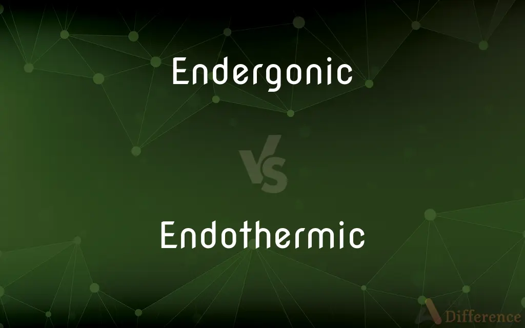 Endergonic vs. Endothermic — What's the Difference?